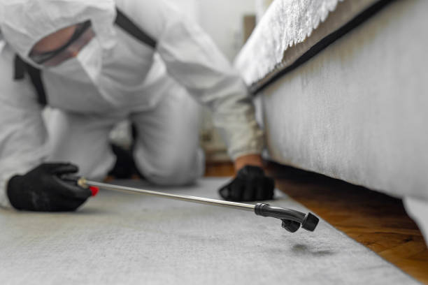 Professional Pest Control technician working in Uinta County County, WY